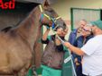 Ricca fotogallery di MerfePhoto