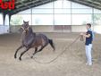 Ricca fotogallery di MerfePhoto