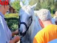 Ricca fotogallery di MerfePhoto