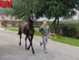 Ricca fotogallery di MerfePhoto