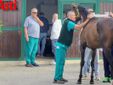 Ricca fotogallery di MerfePhoto