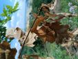 Alcuni degli scatti di Edvinas Dragoni presenti in mostra