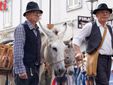 Fotogallery di FIlippo Rozzino