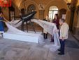 La presentazione di Asti (MerfePhoto)