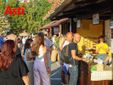Le immagini nella galleria fotografica di Merphefoto