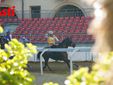 Le foto del pomeriggio di prove (Ph Filippo Rozzino)