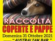 La locandina della raccolta