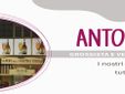 Banner fratelli Antoniazzi