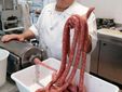 Gilberto prepara la salsiccia di Villa