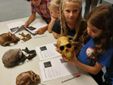 Laboratorio sull'evoluzione dell'uomo