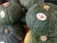 Le zucche di Piea di Luca Roffinella dell'Azienda Agricola Massarone a Montafia