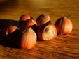 Nocciole di Castellero