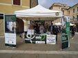 Immagini di volontari Aisla in altre città italiane