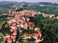 Pino d'Asti