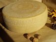 Ruota di Moasca