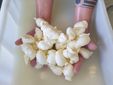 Trecce di Mozzarella a Nizza