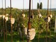 Una delle installazioni dell'Art Park La Court di Castelnuovo Calcea