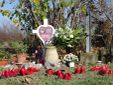 Scarpette rosse, simbolo delle donne vittime di violenza