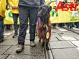 La capretta simbolo della manifestazione
