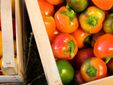 Peperoni di Capriglio