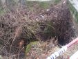 L'interno del fossato in cui è precipitata la signora Sonnessa