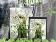 La copertina del romanzo &quot;La Driade e la Strega&quot;
