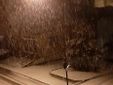 Neve a Canelli