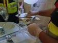 Le ricerche in corso