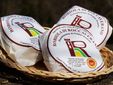 Robiola di Roccaverano Dop