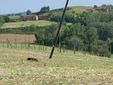 Torna il sereno a Montiglio