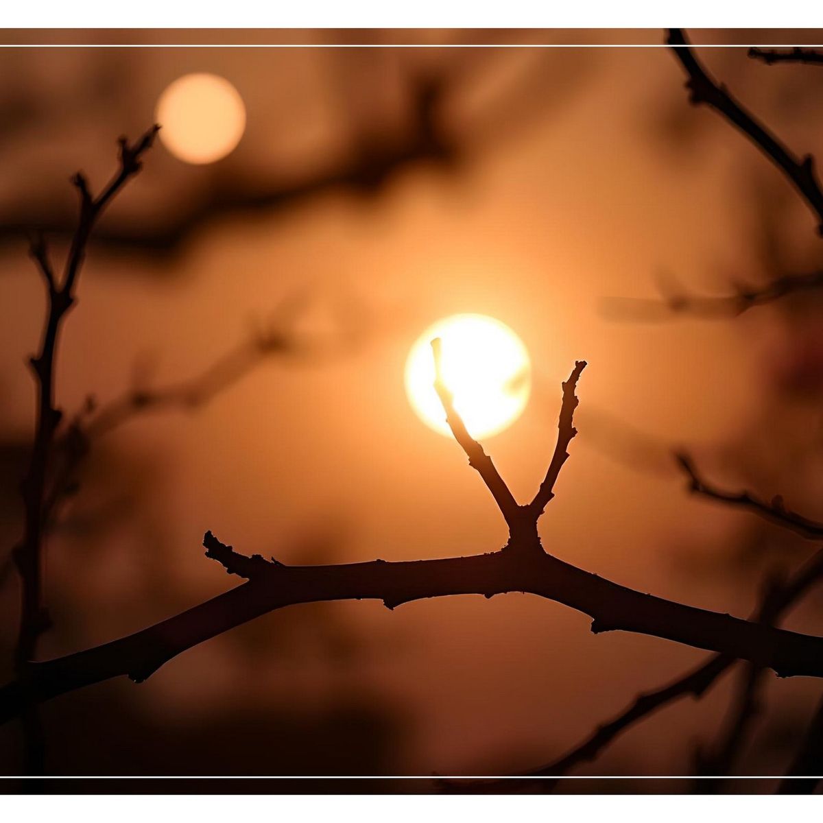Ph Merfephoto