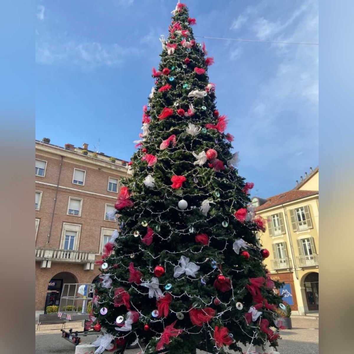 Allestito in mattinata il grande albero di Natale in piazza San Secondo