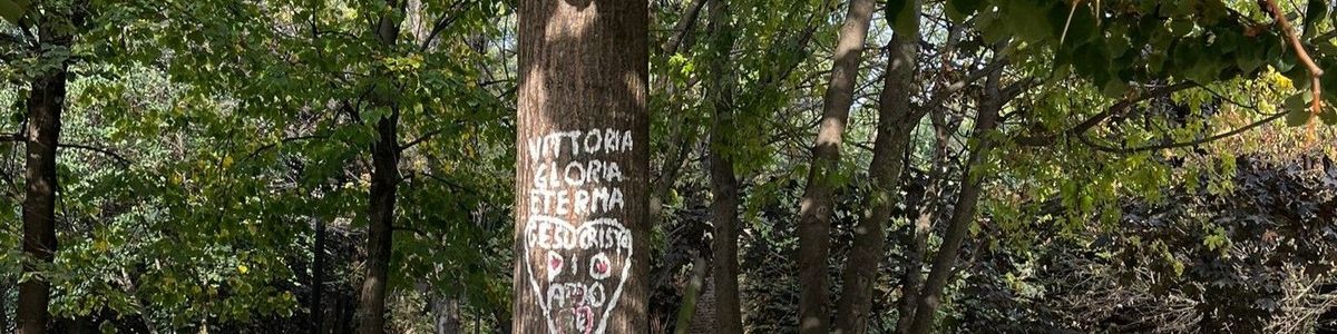 Uno degli alberi del giardino inzozzato da scritte spray
