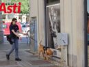 Galleria fotografica MerfePhoto