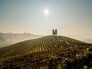 Vacanze Astigiane tra colli vitati e feste del vino