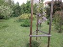 Con il FAI alla scoperta del &quot;Giardino segreto di Arianna&quot;, nelle domeniche 12 e 19 maggio