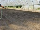 A Motta di Costigliole di applica un'importante innovazione agricola