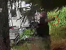 Un fermo immagine tratto dal video diffuso dai carabinieri