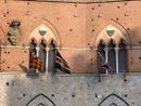 Ph Gazzetta di Siena