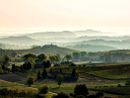 Consorzio Barbera d’Asti e vini del Monferrato è partner di Monsterrando