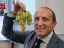 Stefano Ricagno, presidente Consorzio Asti Docg  (Merfephoto)