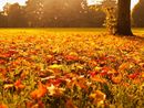 L'autunno in Piemonte? Più caldo della media, soprattutto nel mese di settembre