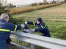 I volontari della Protezione Civile in azione per &quot;Puliamo il Mondo&quot; [FOTO]