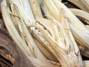 Incisa Scapaccino celebra mezzo secolo di tradizione enogastronomica