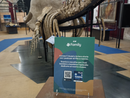 &quot;Fila a nanna&quot;: il podcast che avvicina le famiglie al Museo dei Fossili di Asti