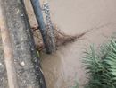 Castelnuovo Belbo: la piena del fiume passa senza criticità, massima allerta dalle istituzioni [FOTO E VIDEO]