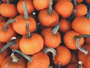 Benvenuto ottobre e alla magia dell’Ottobrata