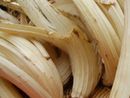 Maltempo, la sagra del cardo gobbo di Incisa Scapaccino si sposta al primo novembre