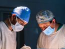 Medicina, stop a numero chiuso e test ingresso per corsi di laurea. Cirio: &quot;Rivoluzione importantissima&quot;