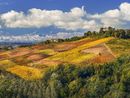 La Meraviglia Unesco: Langhe, Roero e Monferrato attraverso gli occhi di tre fotografi